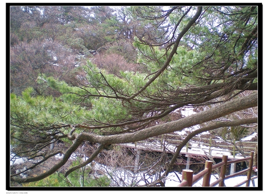dscn6183.jpg