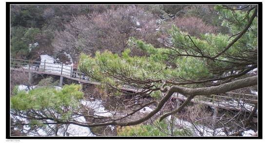 dscn6185.jpg