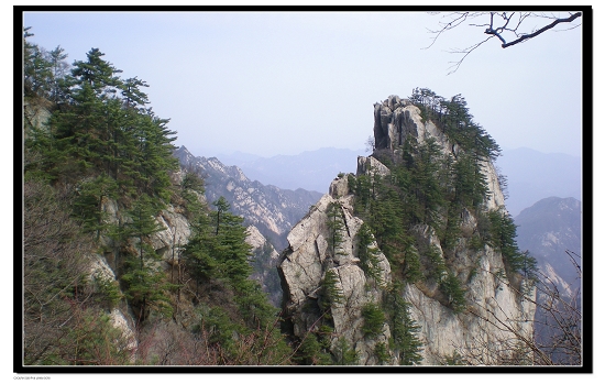 dscn6197.jpg