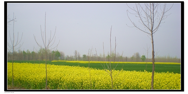 dscn6284.jpg