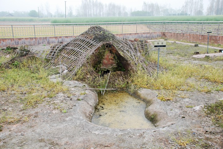 dsc_0176.jpg