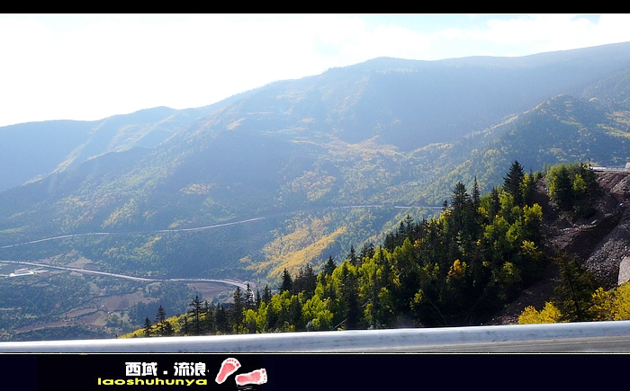 p1090841.jpg