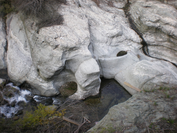 p4040573.jpg