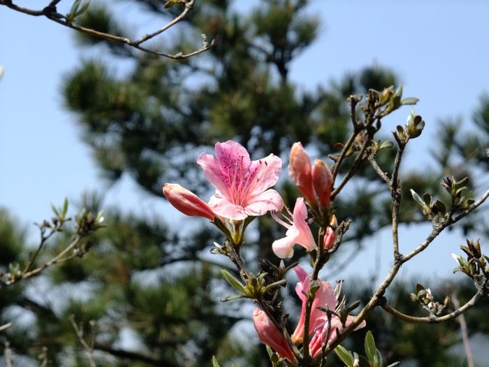 dscf2921-1.jpg