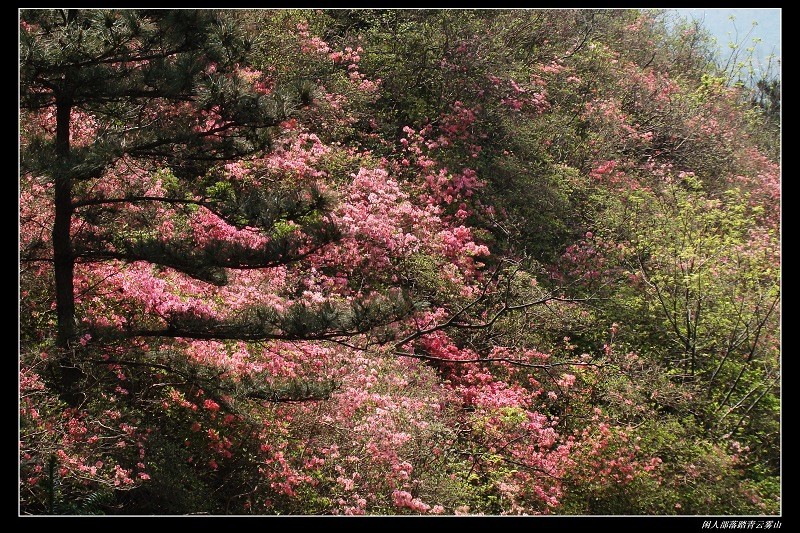 dsc06201.jpg