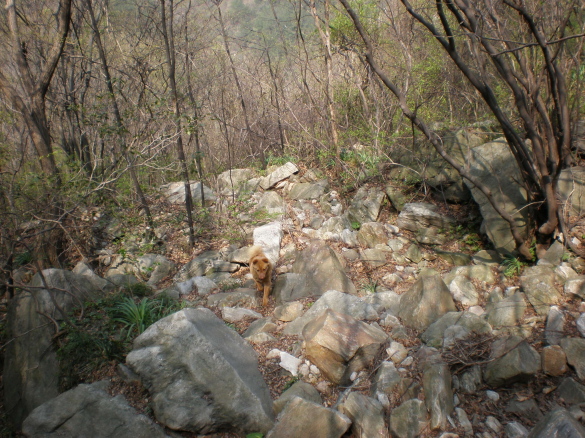 p4040556.jpg