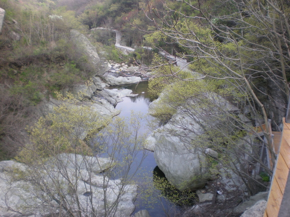 p4040571.jpg