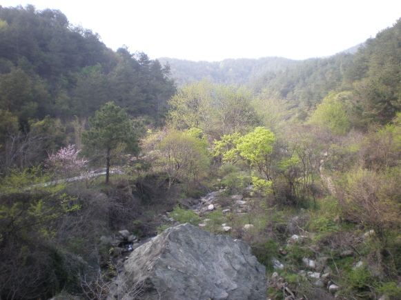 p4040572.jpg
