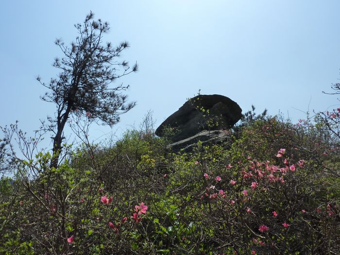 p1020338.jpg