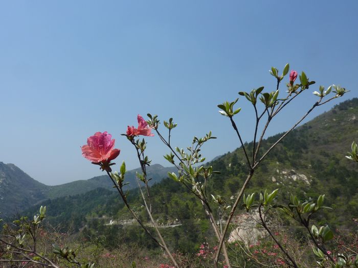 p1020360.jpg