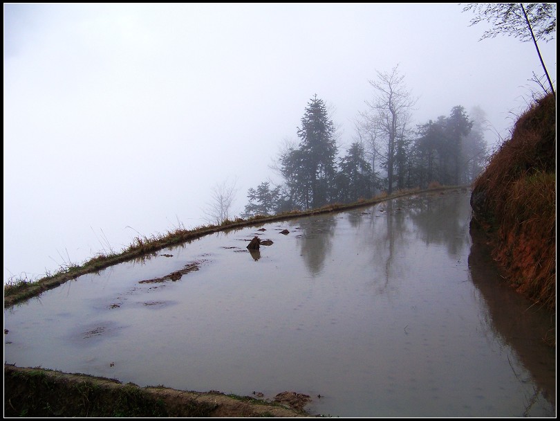 100_3010.jpg