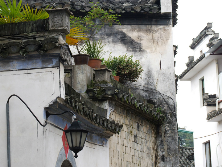 dscf7129.jpg