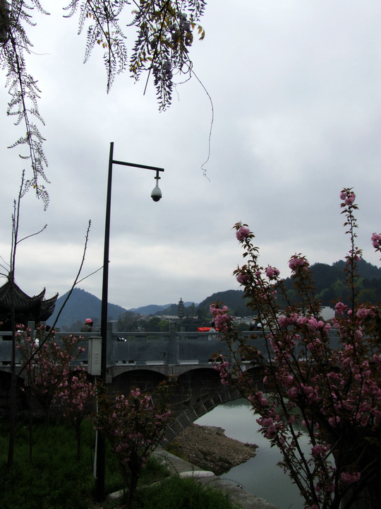 dscf7142.jpg