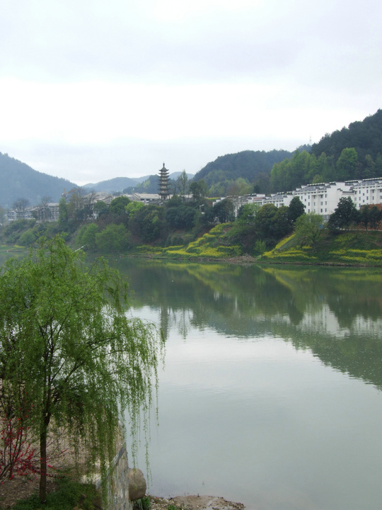 dscf7145.jpg