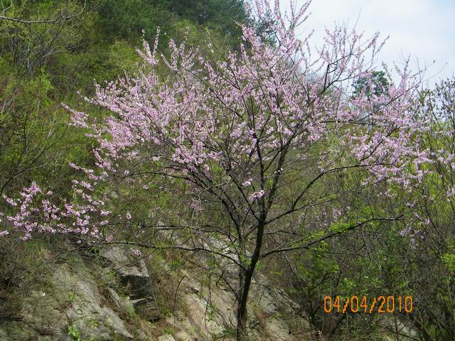 С 100_0768.jpg