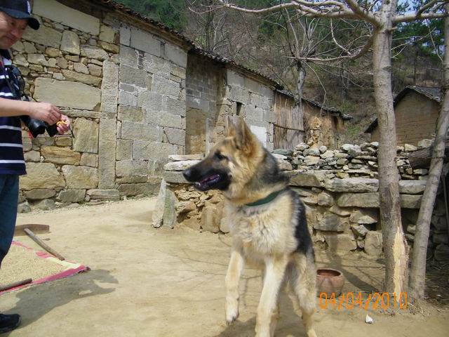С 100_0776.jpg