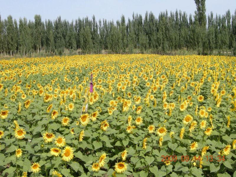 dscn3212.jpg