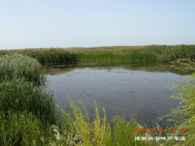 dscn3218.jpg