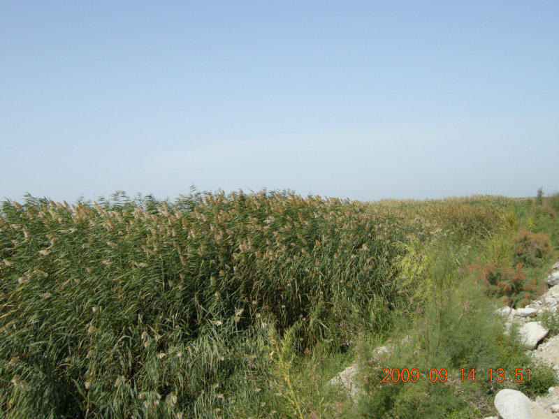 dscn3220.jpg