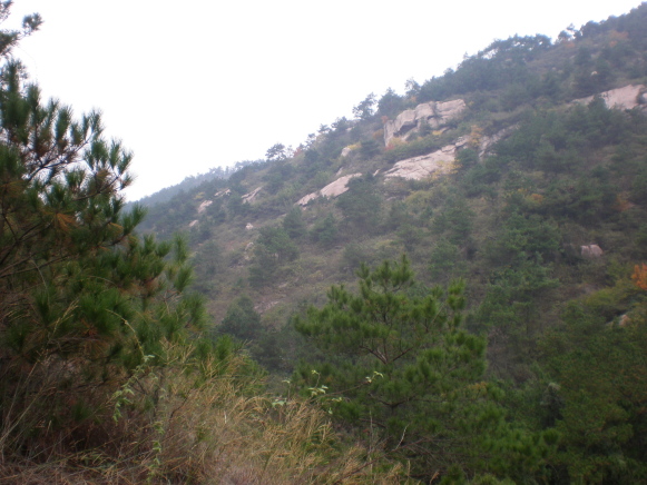 2009101120091011_20091011_21.jpg