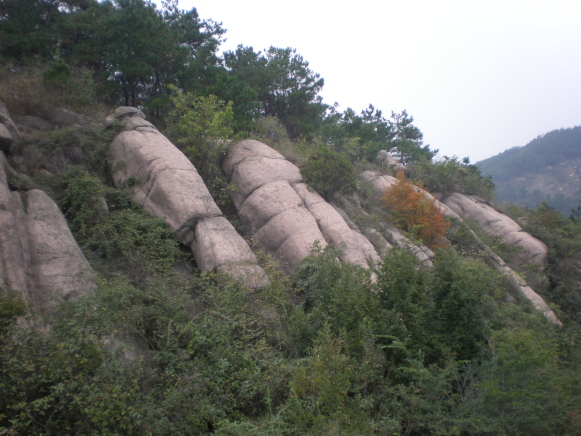 2009101120091011_20091011_31.jpg