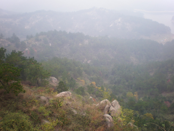 2009101220091012_20091012_12.jpg
