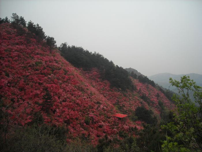 dscn4405.jpg