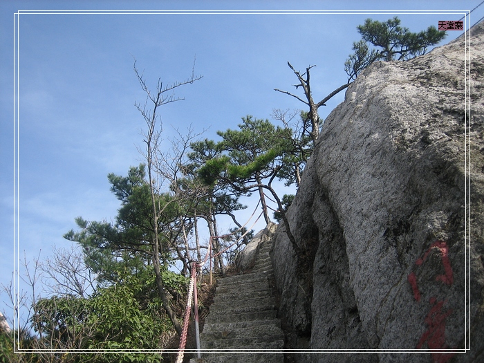 Ƭ 017.jpg