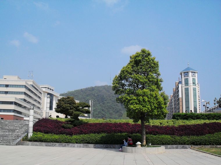 neo_img_sdc15830.jpg