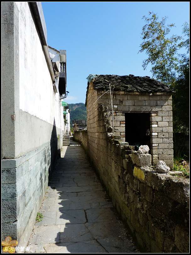 p1000352.jpg