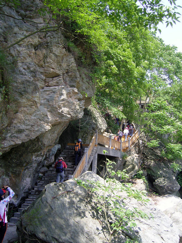  snc10003.jpg