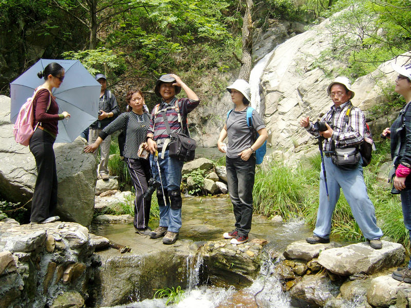  snc10014.jpg