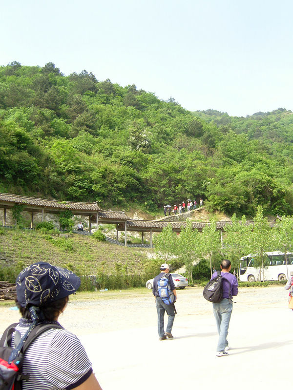  snc10090.jpg