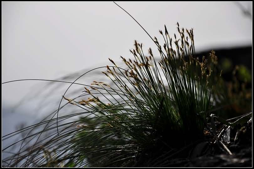 dsc_0133_neo_img-s.jpg