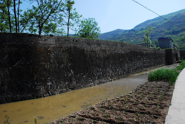 dsc_0603.jpg