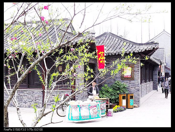 照片 397.jpg
