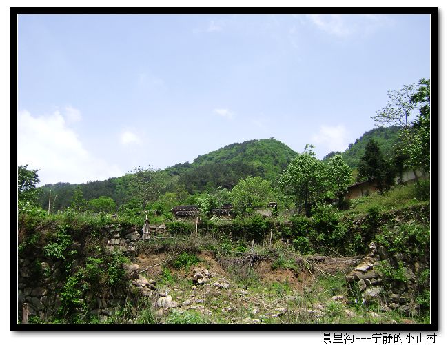 dsc07260-1.jpg