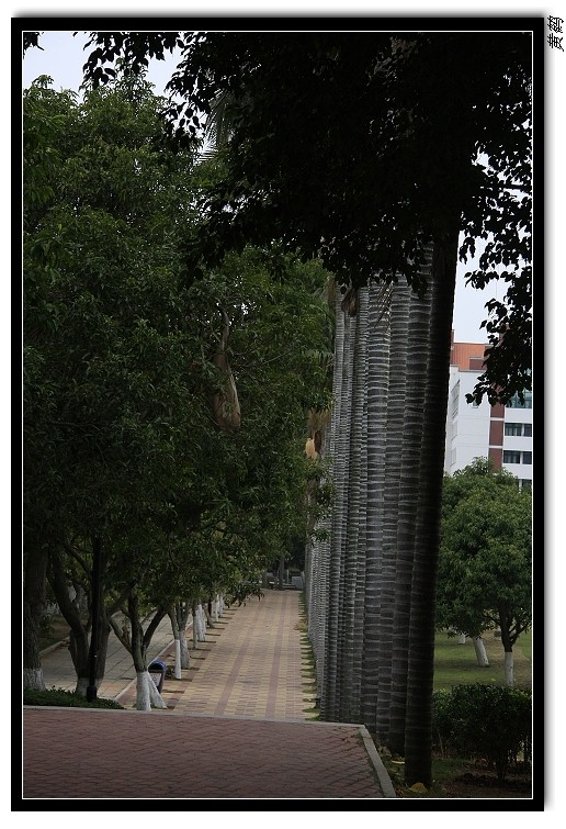 Ŵѧ41.jpg