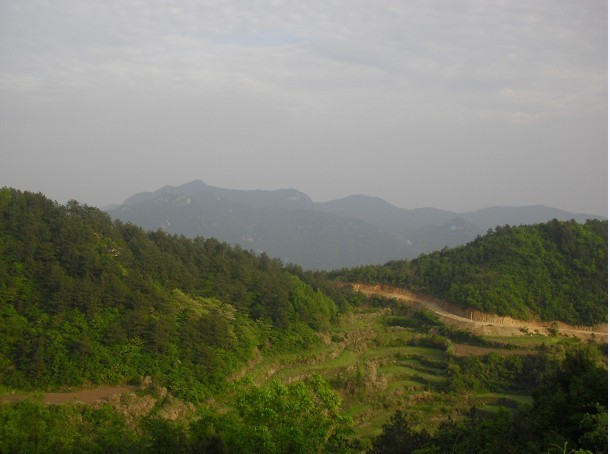 z7.jpg