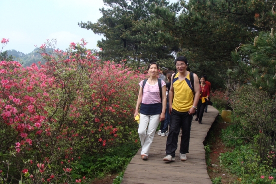 dsc04007.jpg