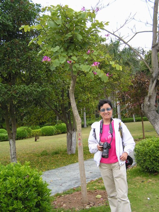pict1017_С.jpg