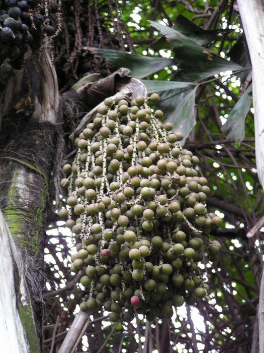 pict1054_С.jpg