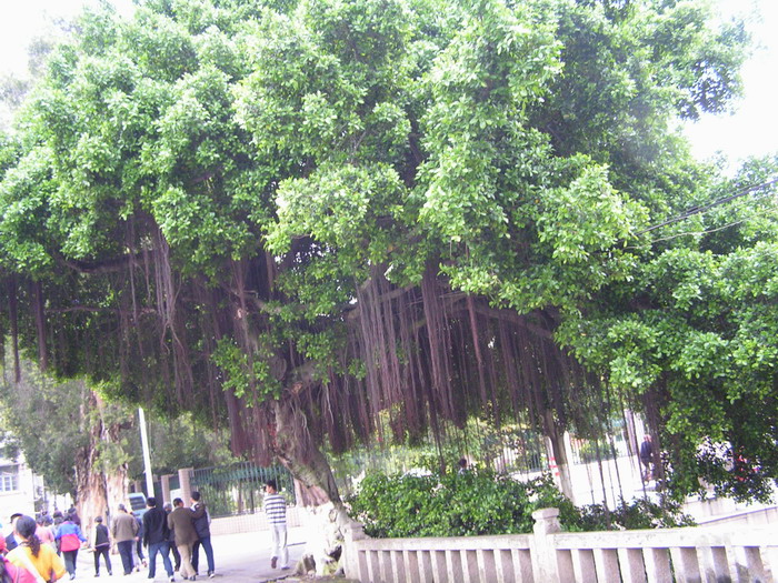 pict1044_С.jpg