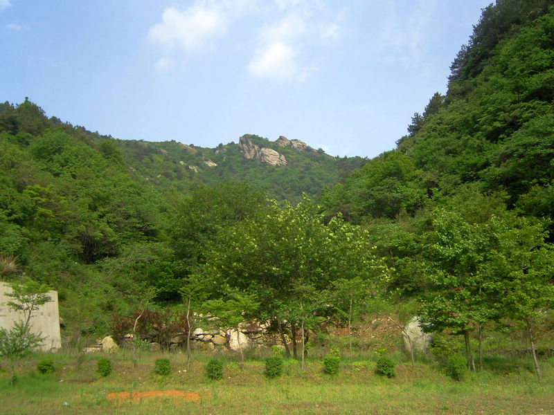  snc10092.jpg