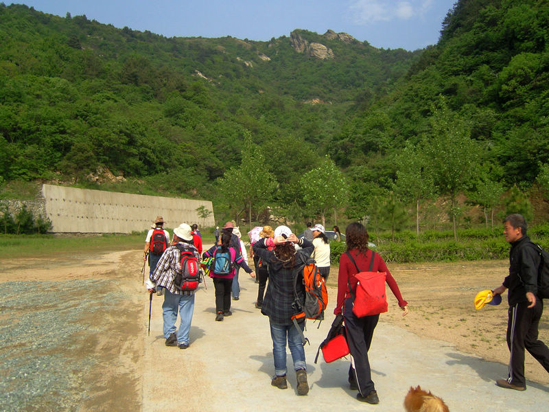  snc10091.jpg