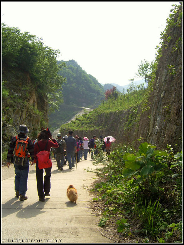  snc10093.jpg
