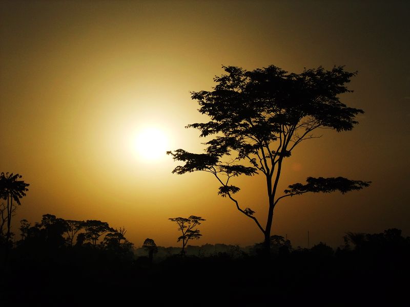Ƭ 018.jpg