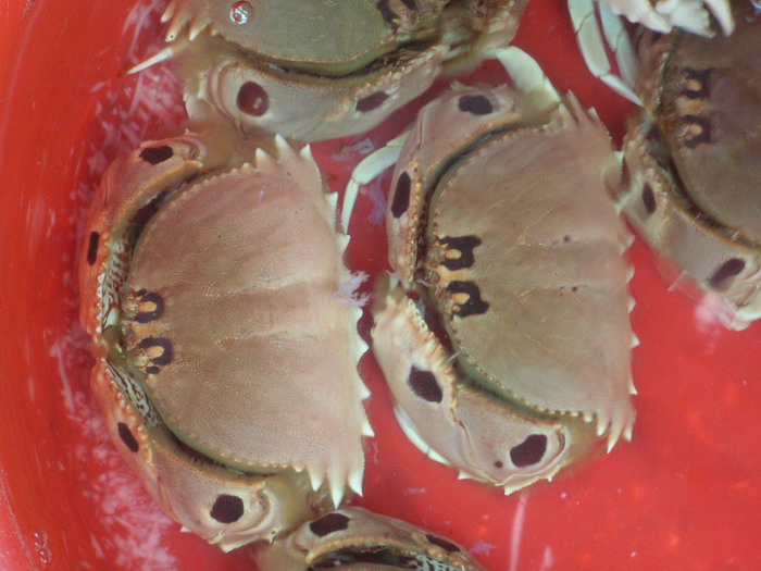pict0099_С.jpg