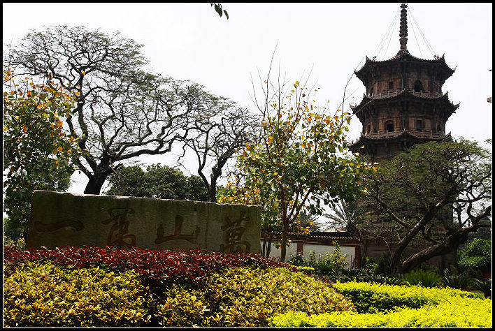 neo_img_img_9998-1 (243).jpg