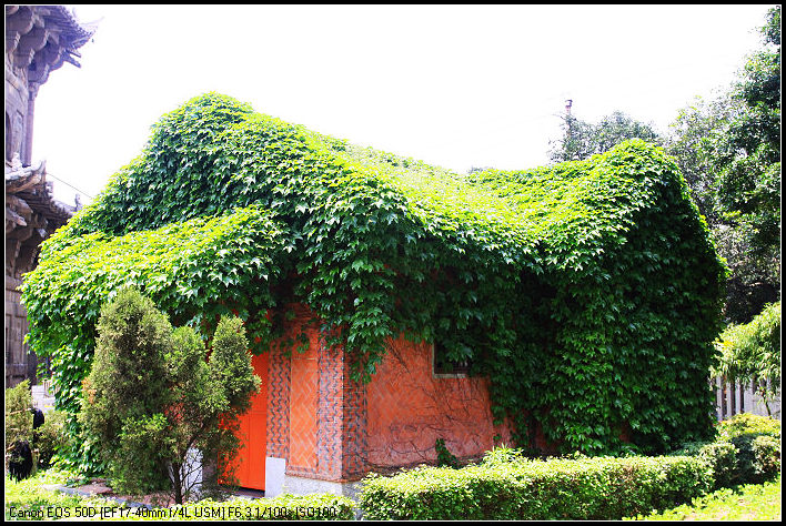 neo_img_img_9998-1 (246).jpg